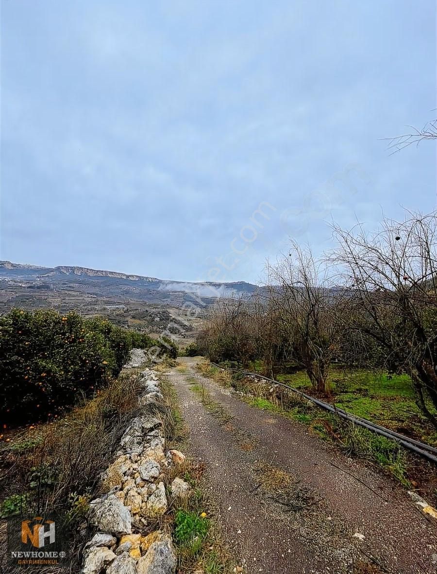 Yenişehir Uzunkaş Mah.de 3818m2 Tek Tapu Bahçe - Görsel 9