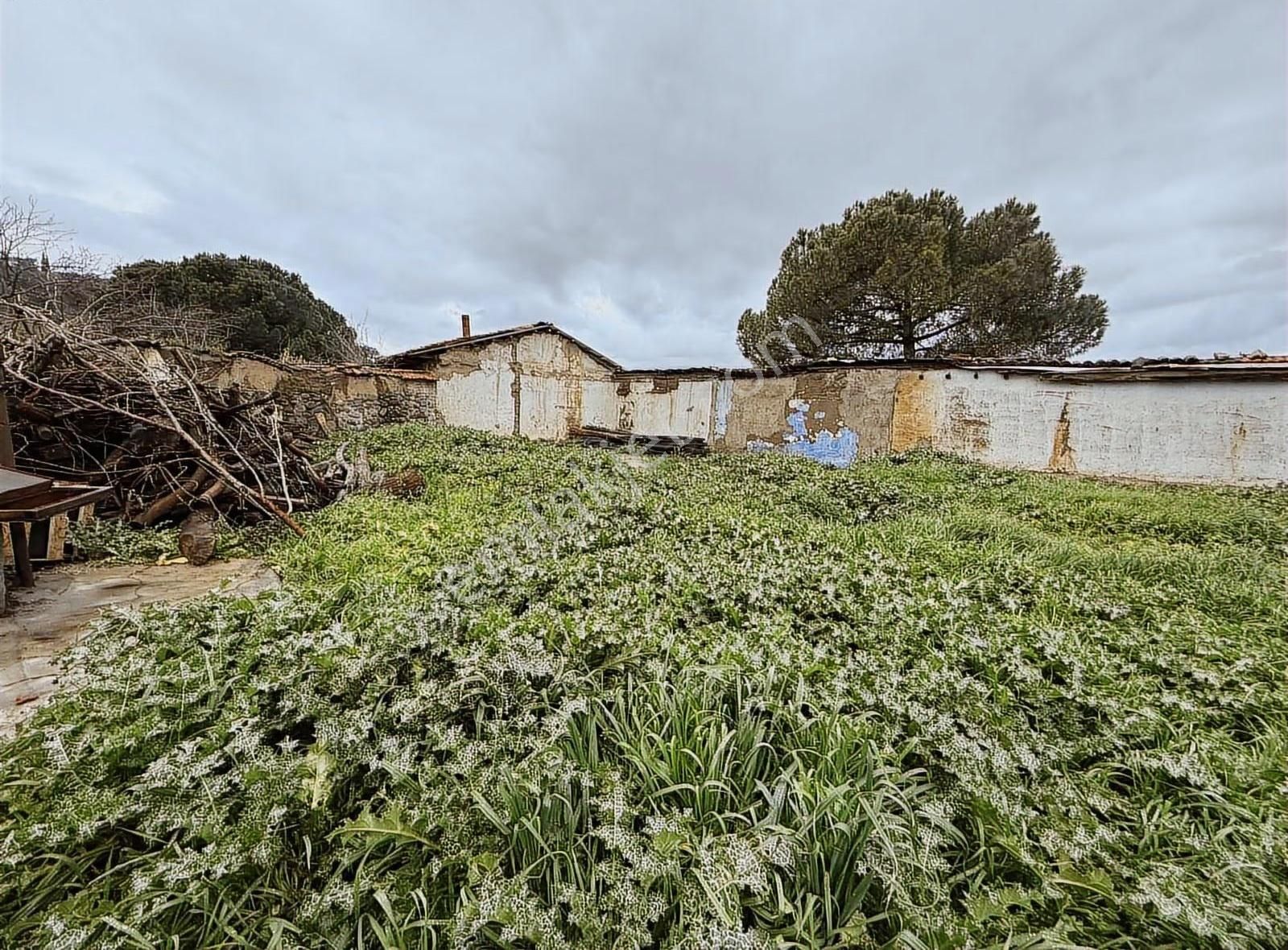 Müstakil Bahçeli Köy Evi - Görsel 16