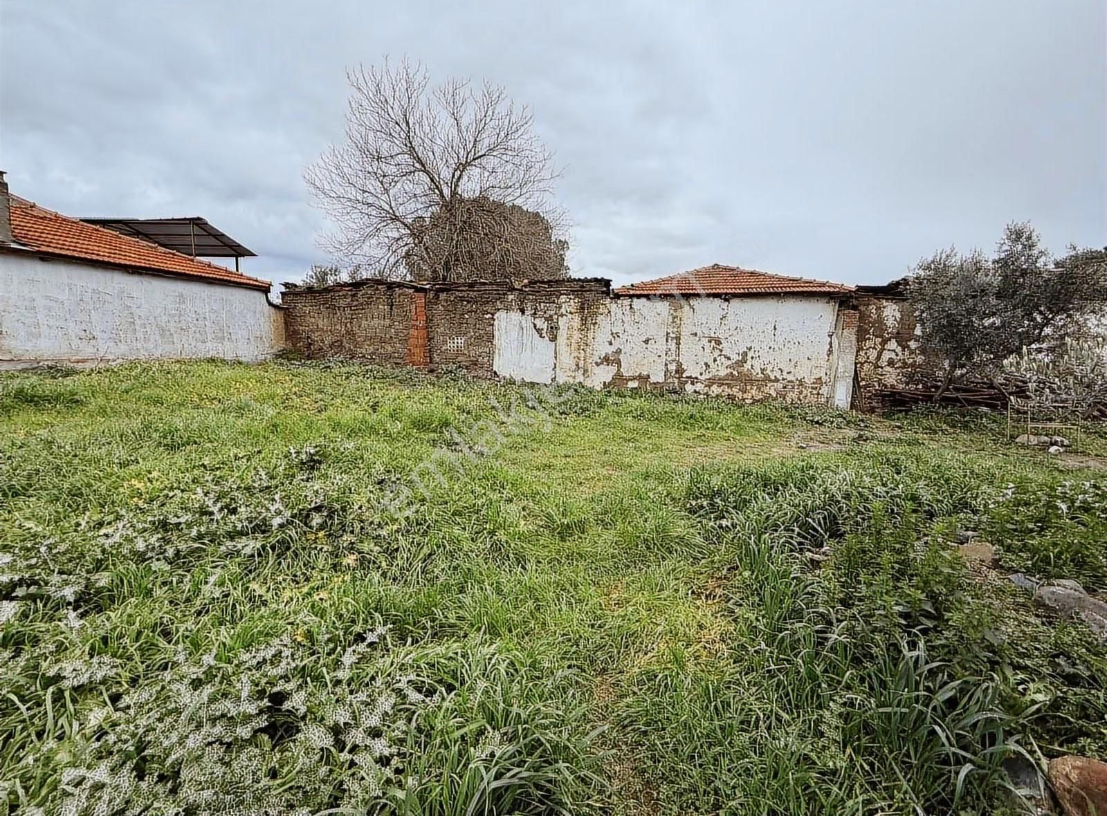 Müstakil Bahçeli Köy Evi - Görsel 4