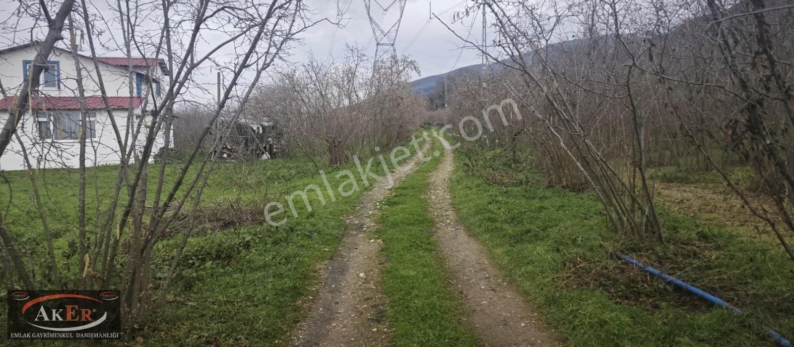 İki Tapu Manzaralı Düz Yol Su Elektrik Üstünde Fındık Var - Görsel 11