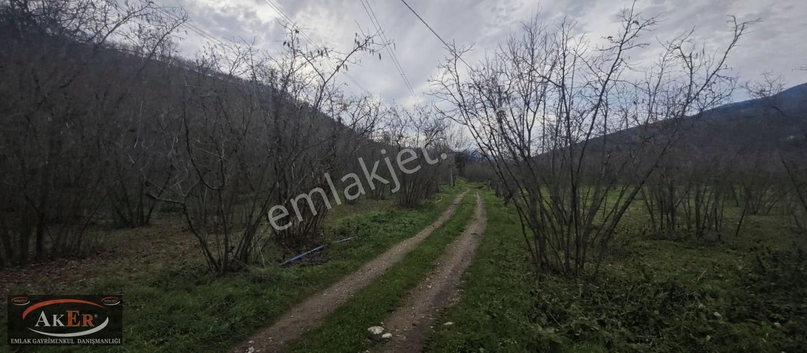 İki Tapu Manzaralı Düz Yol Su Elektrik Üstünde Fındık Var - Görsel 13