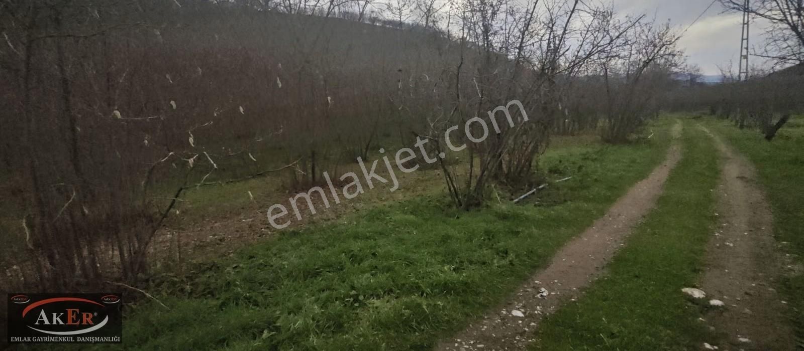 İki Tapu Manzaralı Düz Yol Su Elektrik Üstünde Fındık Var - Görsel 17