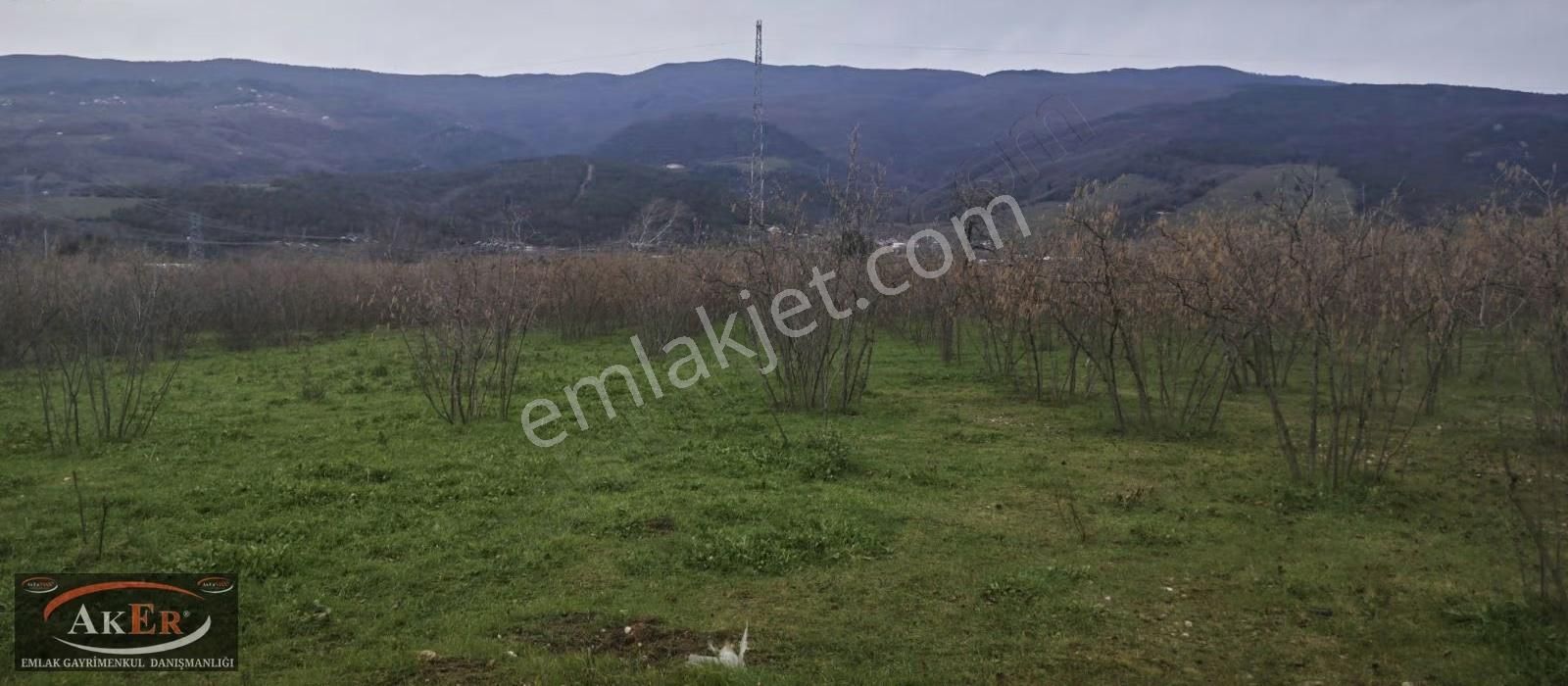 İki Tapu Manzaralı Düz Yol Su Elektrik Üstünde Fındık Var - Görsel 9