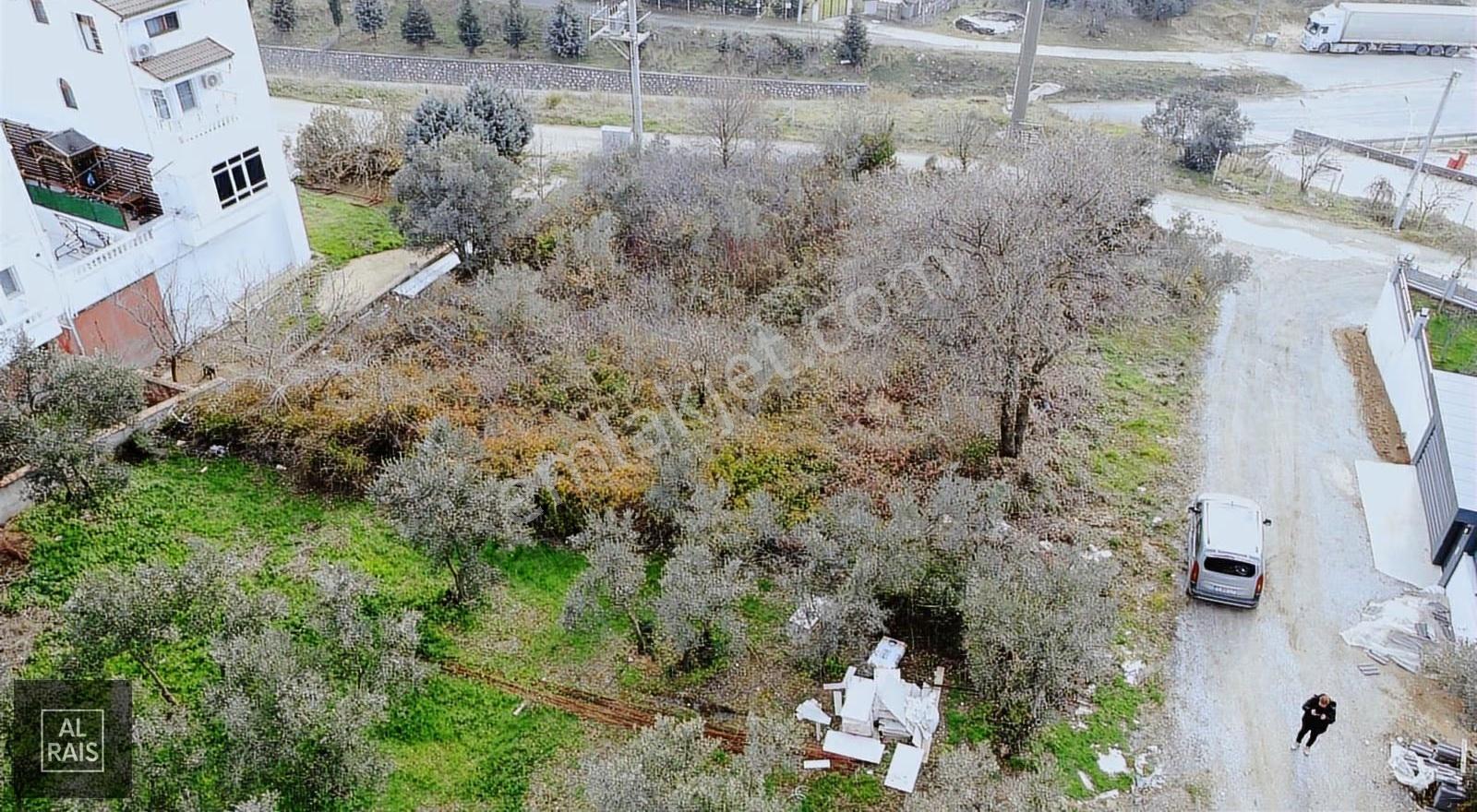 853 M2 İmarlı Satılık 2 Adet Parsel Çınarcık Koru - Görsel 9