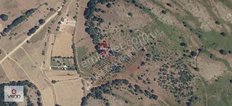 Gemlik Şahinyurdu Satılık 621 M2 Tarla - Görsel 2