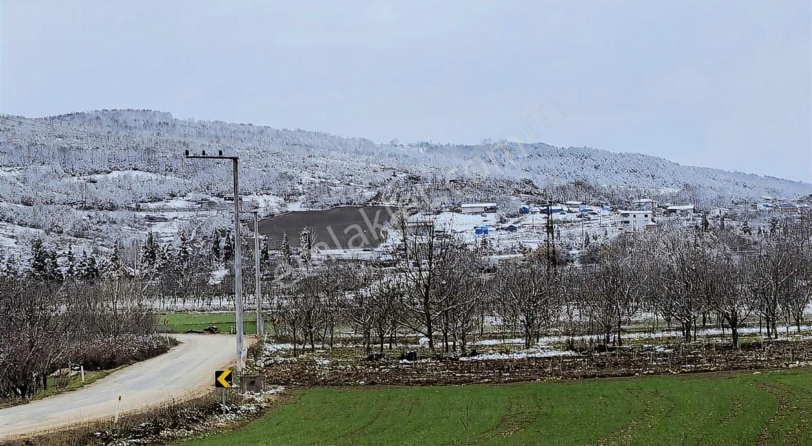 2311m Düz Elektrik Su Var.asvalta 1parsel Harika Hobi - Görsel 8