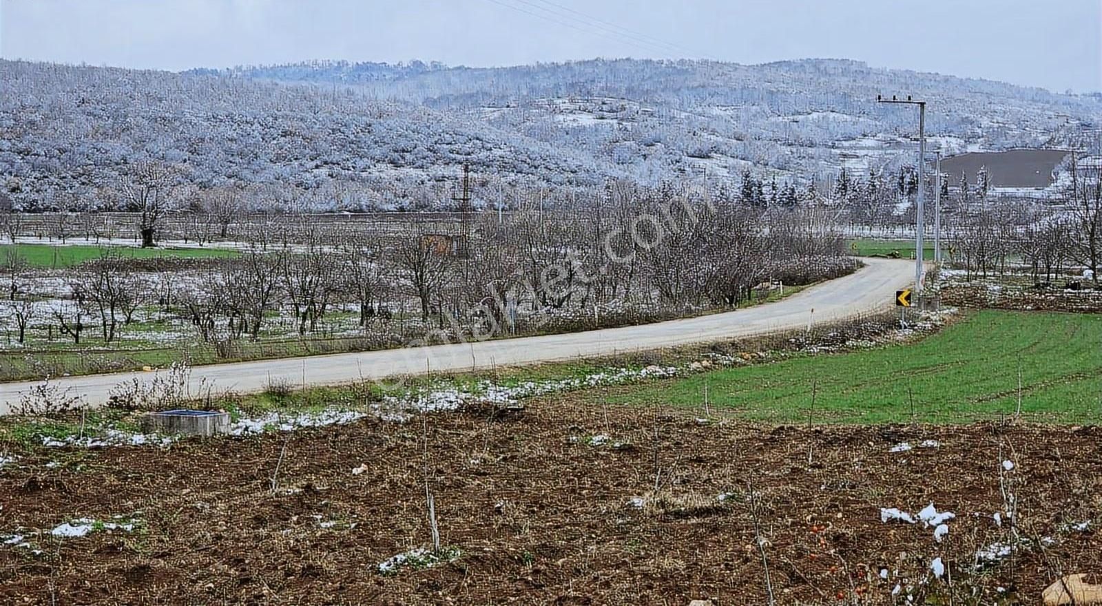 2311m Düz Elektrik Su Var.asvalta 1parsel Harika Hobi - Görsel 11