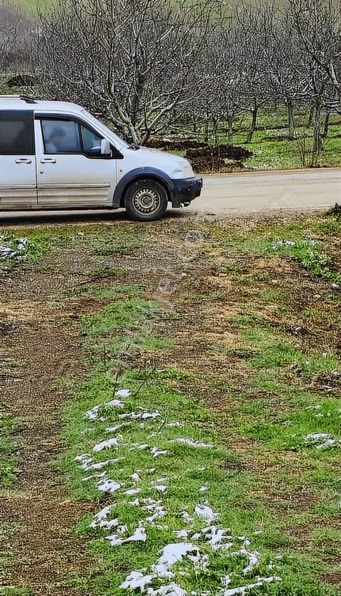 2311m Düz Elektrik Su Var.asvalta 1parsel Harika Hobi - Görsel 7