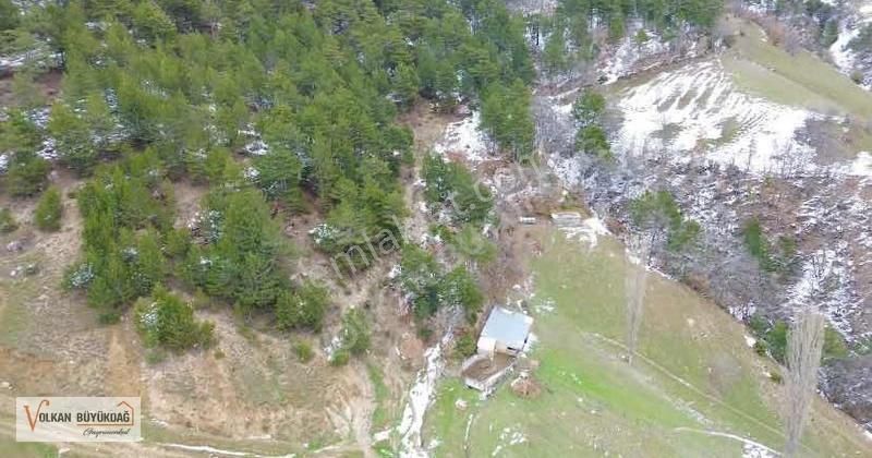 Vb Gayrimenkul Mürseller'de 302 M2 Satılık Bahçe - Görsel 2