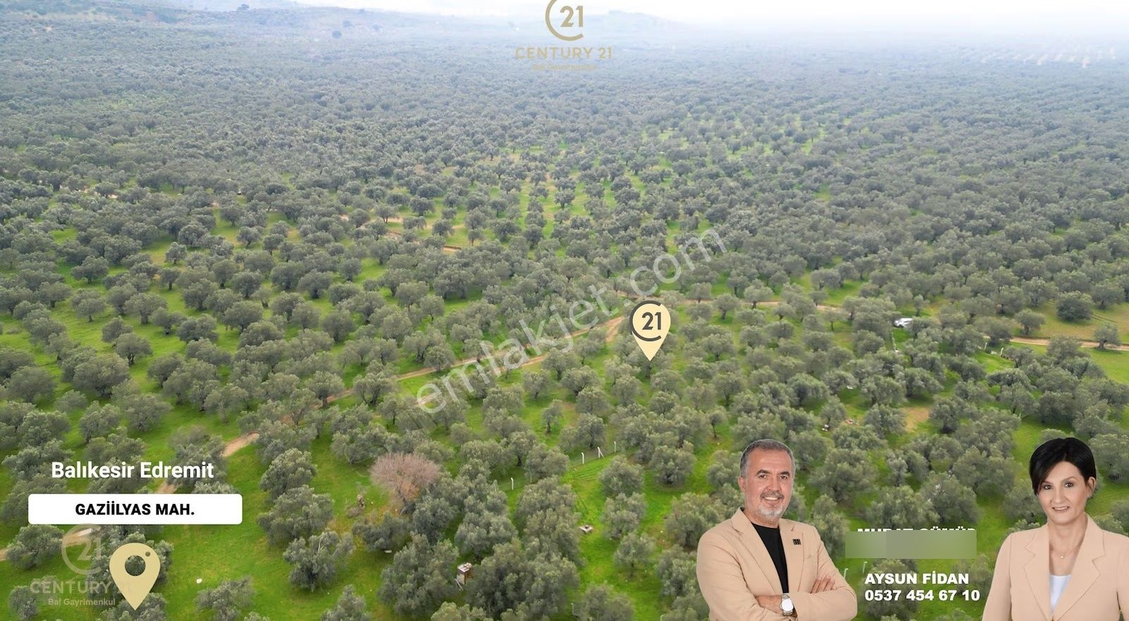 C21bal'dan Edremit Gaziilyas Mh Yolu-suyu Olan Satılık Zeytinlik - Görsel 2