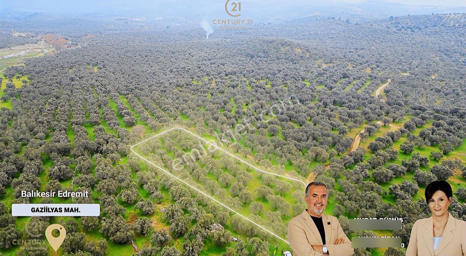 C21bal'dan Edremit Gaziilyas Mh Yolu-suyu Olan Satılık Zeytinlik - Görsel 3