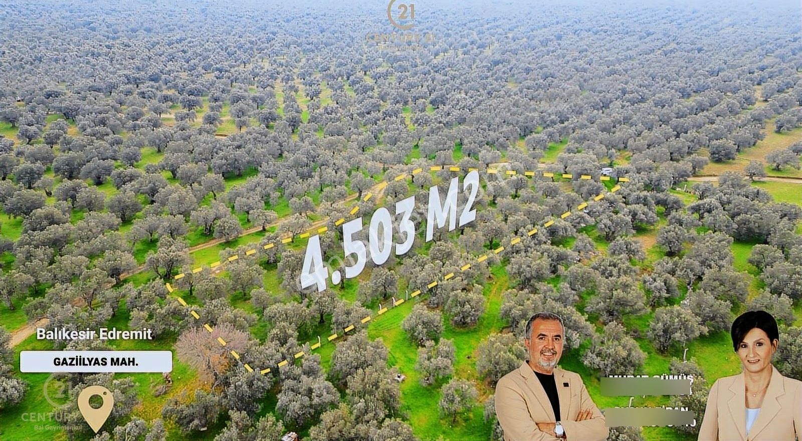C21bal'dan Edremit Gaziilyas Mh Yolu-suyu Olan Satılık Zeytinlik - Görsel 11