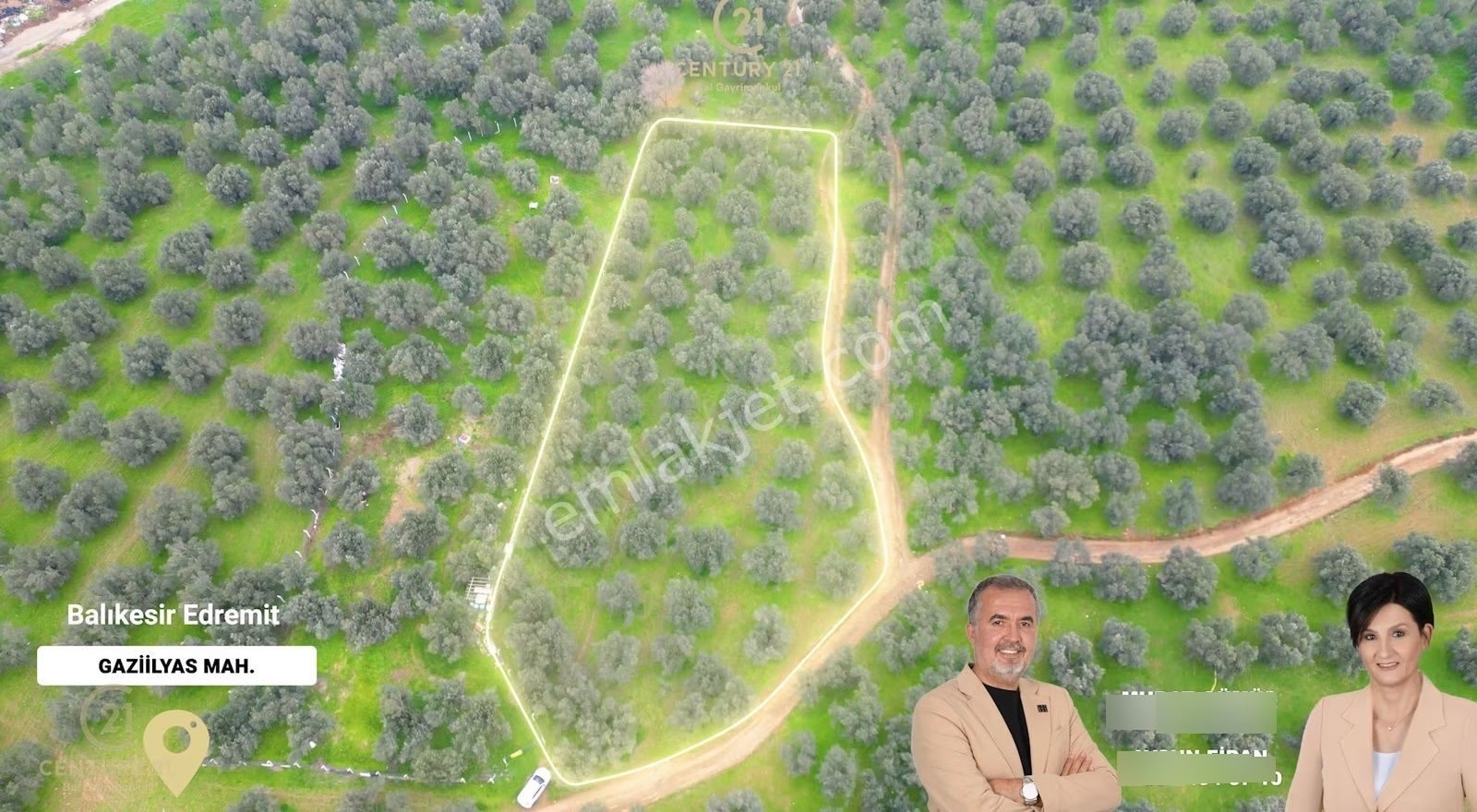 C21bal'dan Edremit Gaziilyas Mh Yolu-suyu Olan Satılık Zeytinlik - Görsel 6