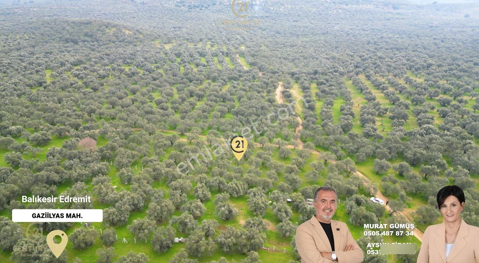 C21bal'dan Edremit Gaziilyas Mh Yolu-suyu Olan Satılık Zeytinlik - Görsel 16