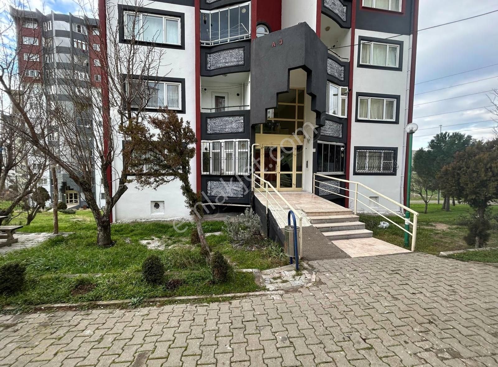 C21 Bal'dan Toki Yeni Mah Kiralık 1+1 Temiz Daire