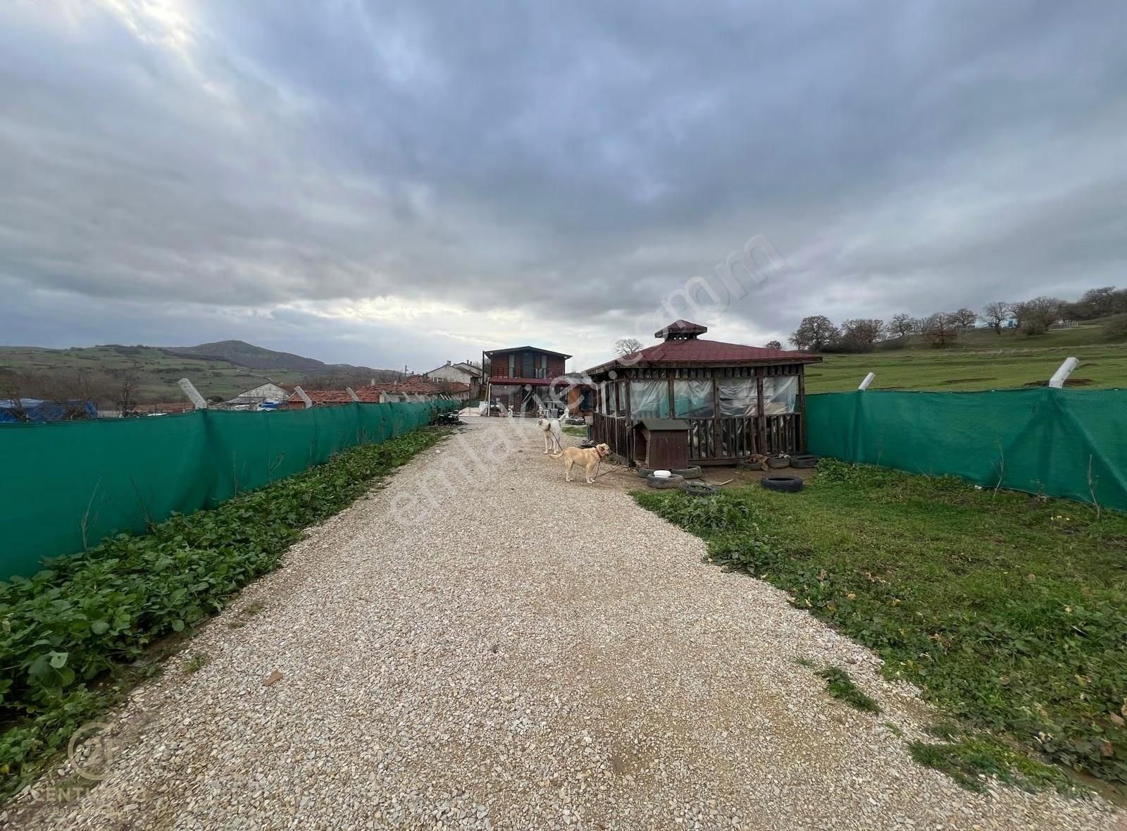 C21 Bal'dan Ovacık Mah. 1152m2 Arazi İçinde 2 Katlı Ahşap Ev - Görsel 4