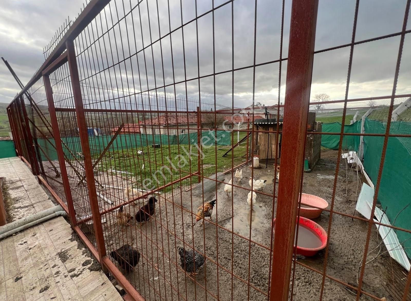 C21 Bal'dan Ovacık Mah. 1152m2 Arazi İçinde 2 Katlı Ahşap Ev - Görsel 8