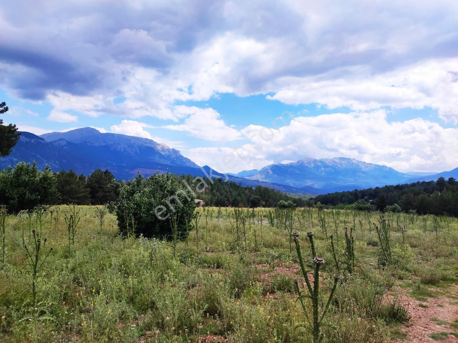 Kar Emlaktan Alpu Yaylasında 500 M2 Satılık Arsa - Görsel 11