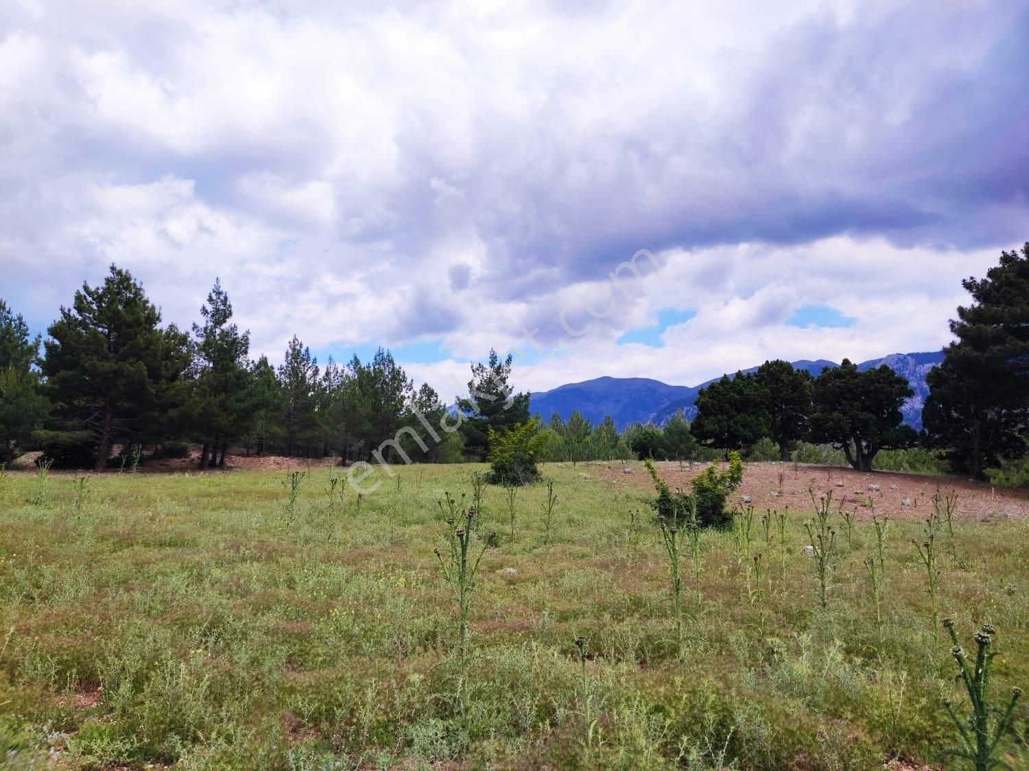 Kar Emlaktan Alpu Yaylasında 500 M2 Satılık Arsa - Görsel 9