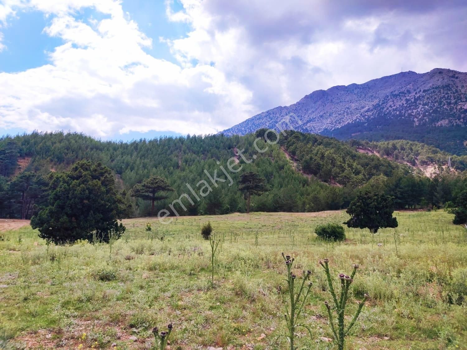 Kar Emlaktan Alpu Yaylasında 500 M2 Satılık Arsa - Görsel 23