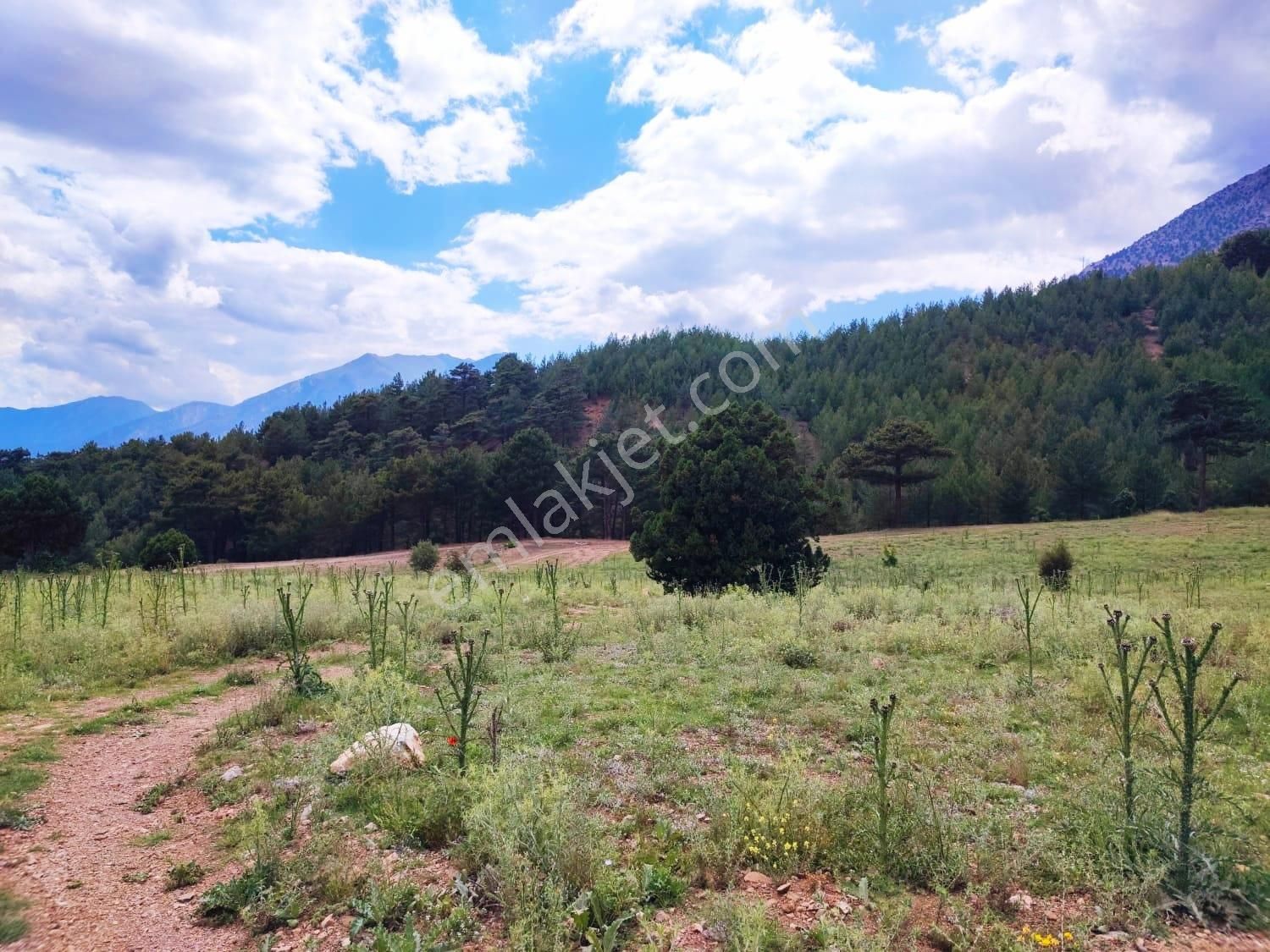 Kar Emlaktan Alpu Yaylasında 500 M2 Satılık Arsa - Görsel 26