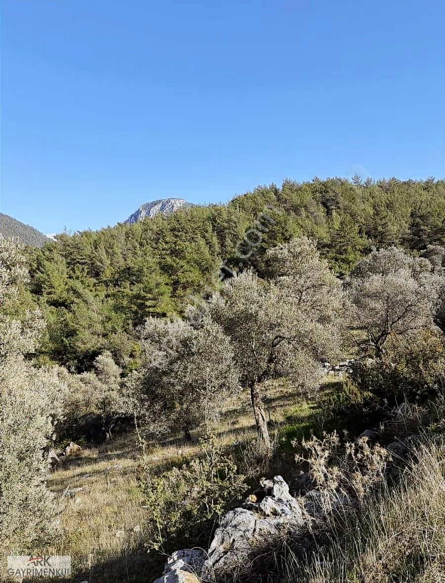 Asfalt Yola Sıfır 962 M2 Fırsat Satılık Tarla - Görsel 10