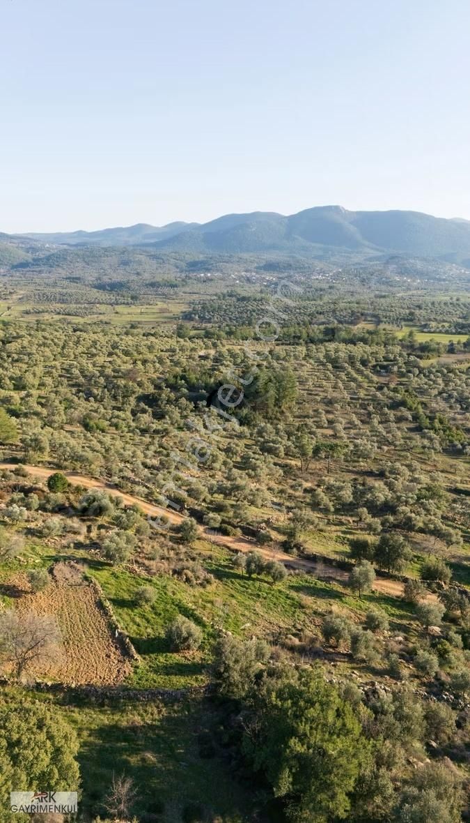 Milas Alaçam'da 16.200 M2 Satılık Tarla - Görsel 9