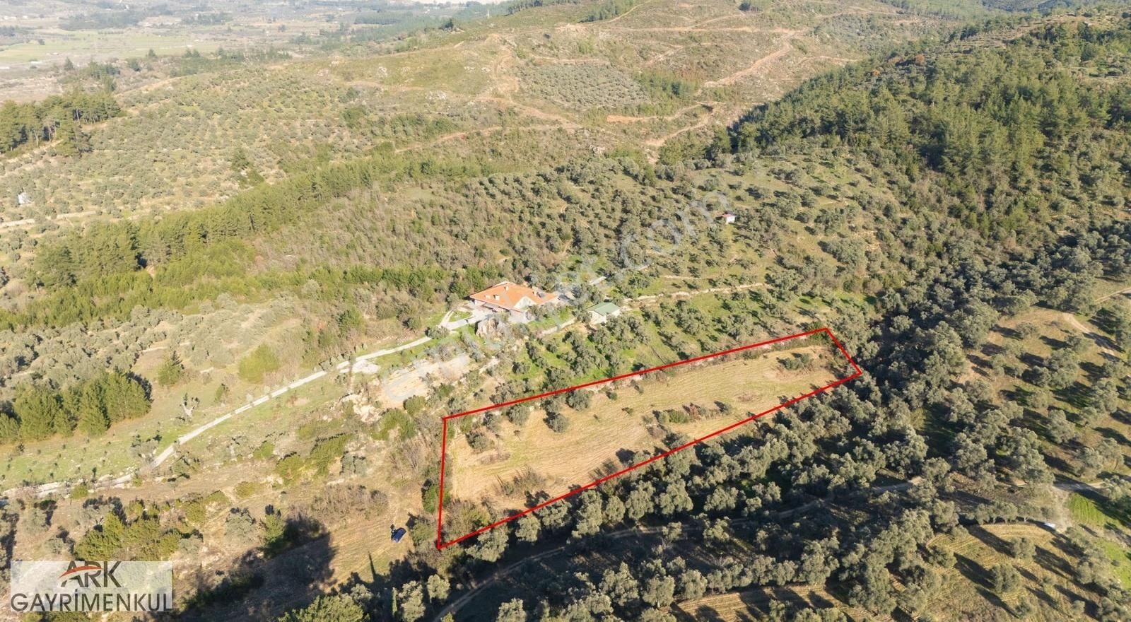 Milas Karacahisar'da Köyiçine Yakın Satılık Tarla - Görsel 12