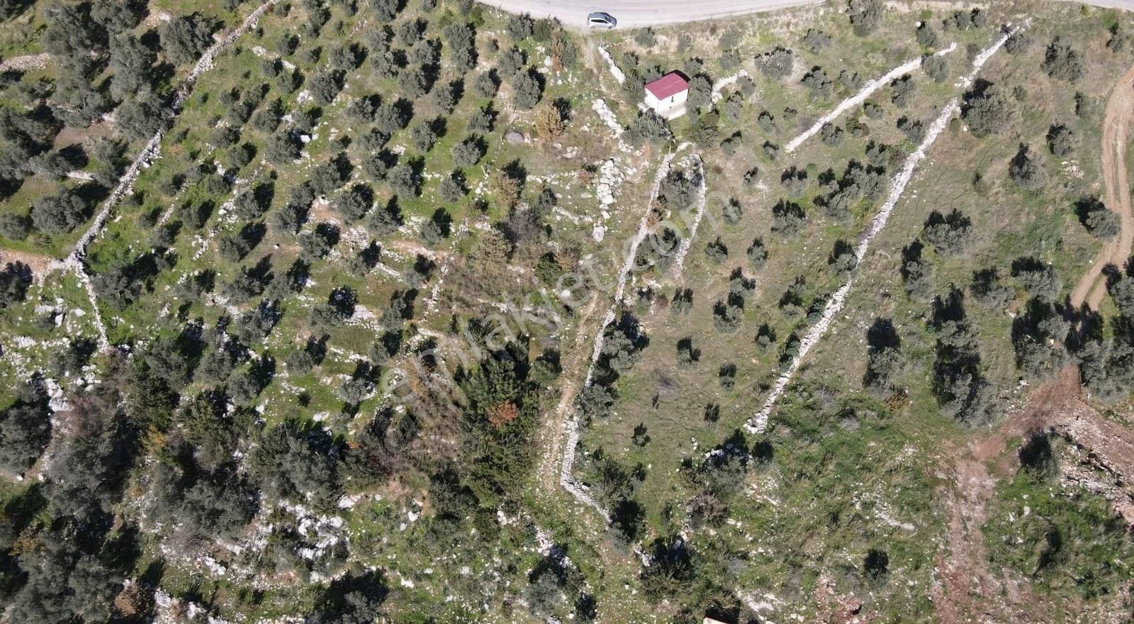 Gökben Köyünde 2600mt2 Satılık Tarla - Görsel 12