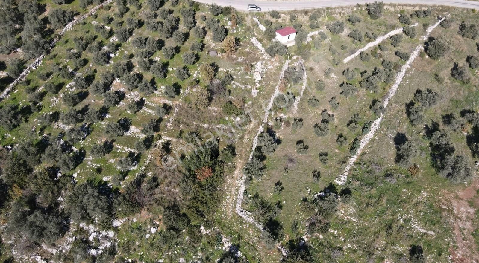 Gökben Köyünde 2600mt2 Satılık Tarla - Görsel 7