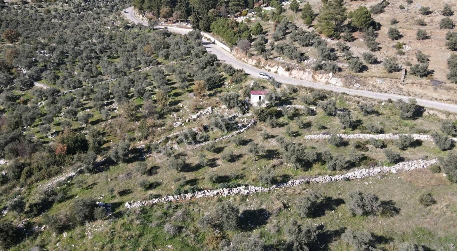 Gökben Köyünde 2600mt2 Satılık Tarla - Görsel 5