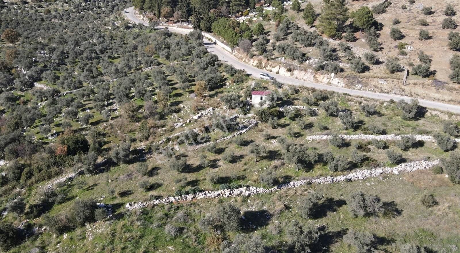 Gökben Köyünde 2600mt2 Satılık Tarla - Görsel 8