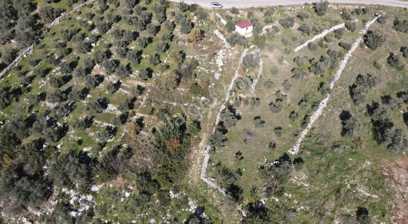 Gökben Köyünde 2600mt2 Satılık Tarla - Görsel 11