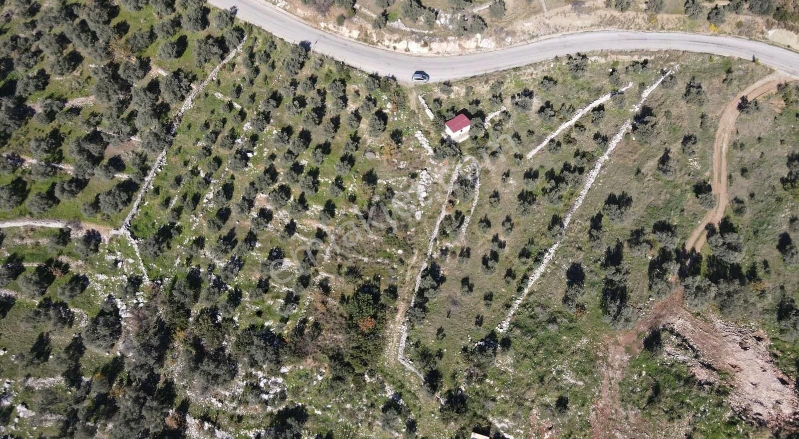 Gökben Köyünde 2600mt2 Satılık Tarla