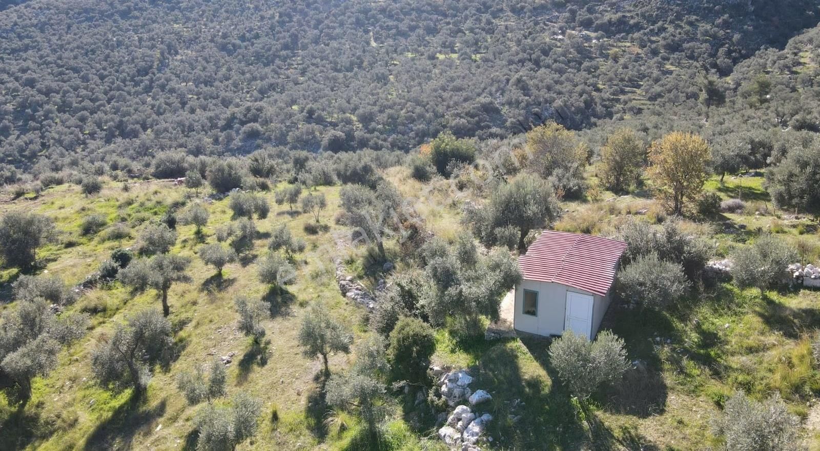 Gökben Köyünde 2600mt2 Satılık Tarla - Görsel 4