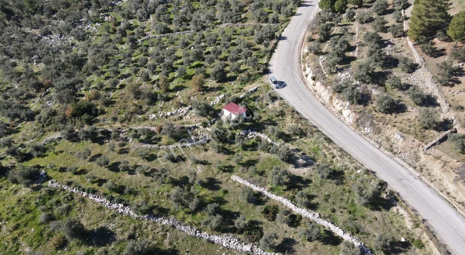 Gökben Köyünde 2600mt2 Satılık Tarla - Görsel 3