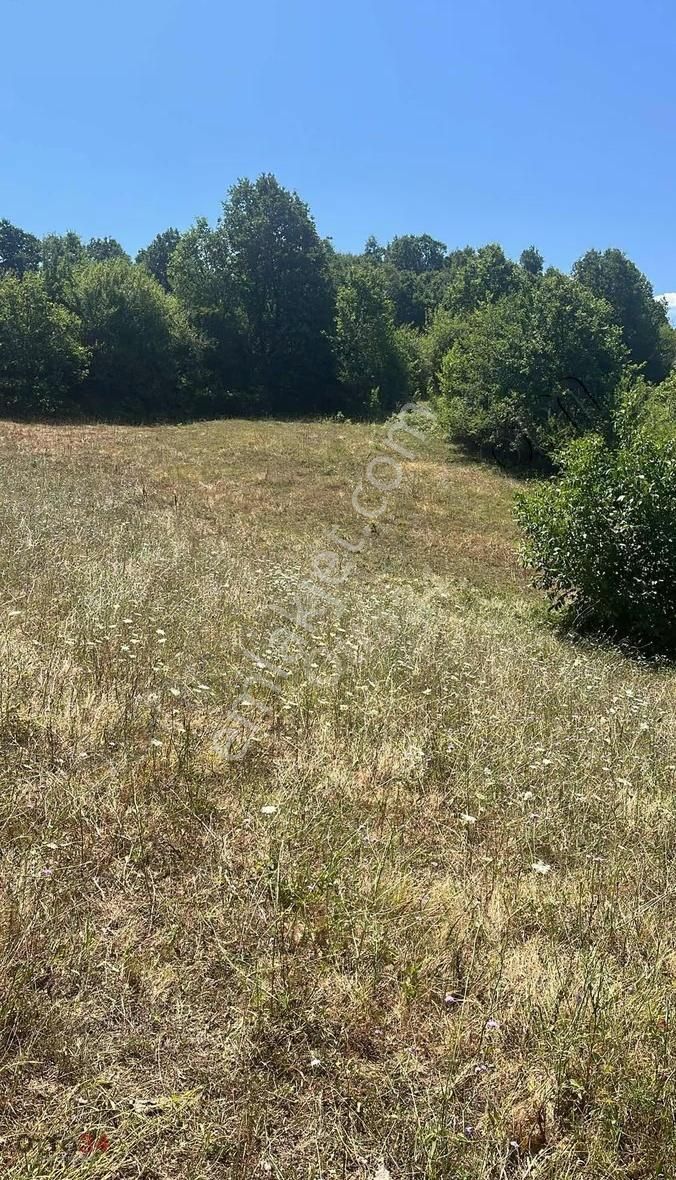 Satılık Bursa İnegöl'de 1.100 M² Tek Tapu Tarla Köye Yakın - Görsel 3