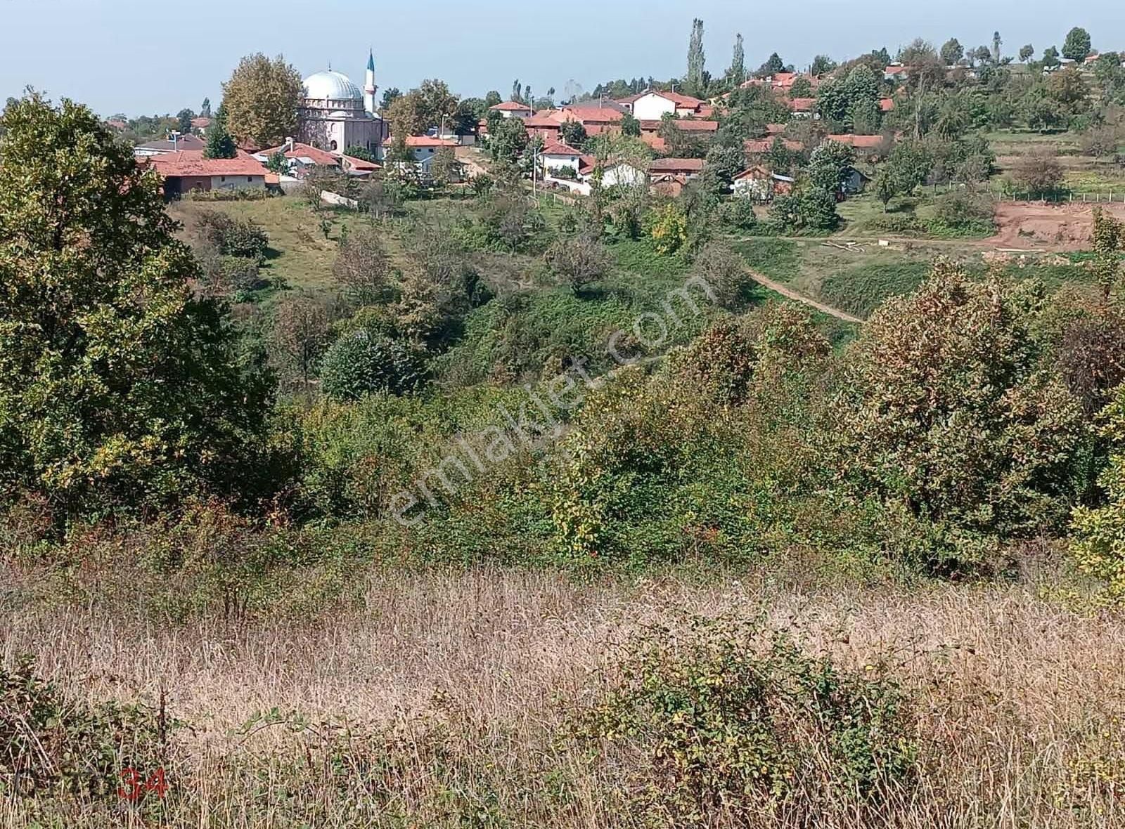 Satılık Bursa İnegöl'de 1.100 M² Tek Tapu Tarla Köye Yakın - Görsel 2