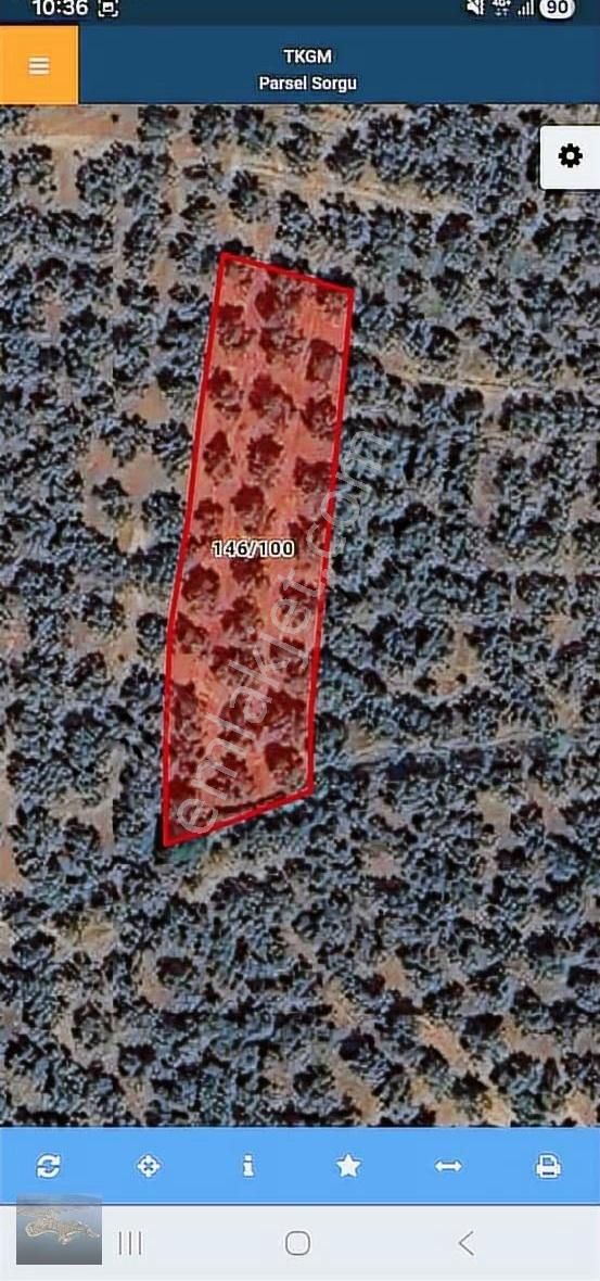 İznik Gölü Manzaralı 1630 M² Zeytinlik - Görsel 3