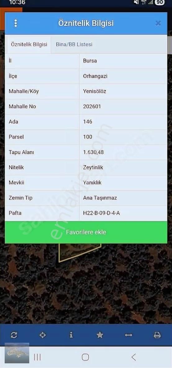 İznik Gölü Manzaralı 1630 M² Zeytinlik - Görsel 2