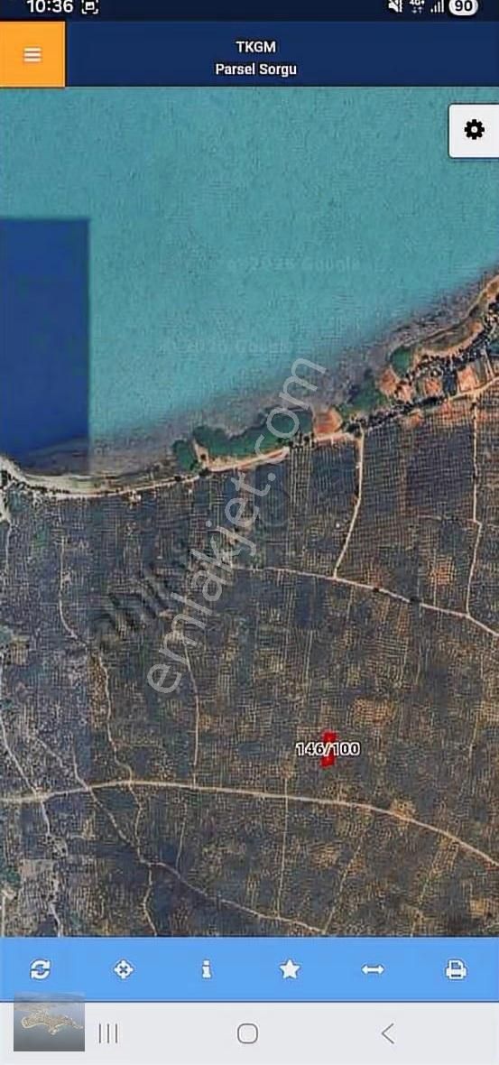 İznik Gölü Manzaralı 1630 M² Zeytinlik