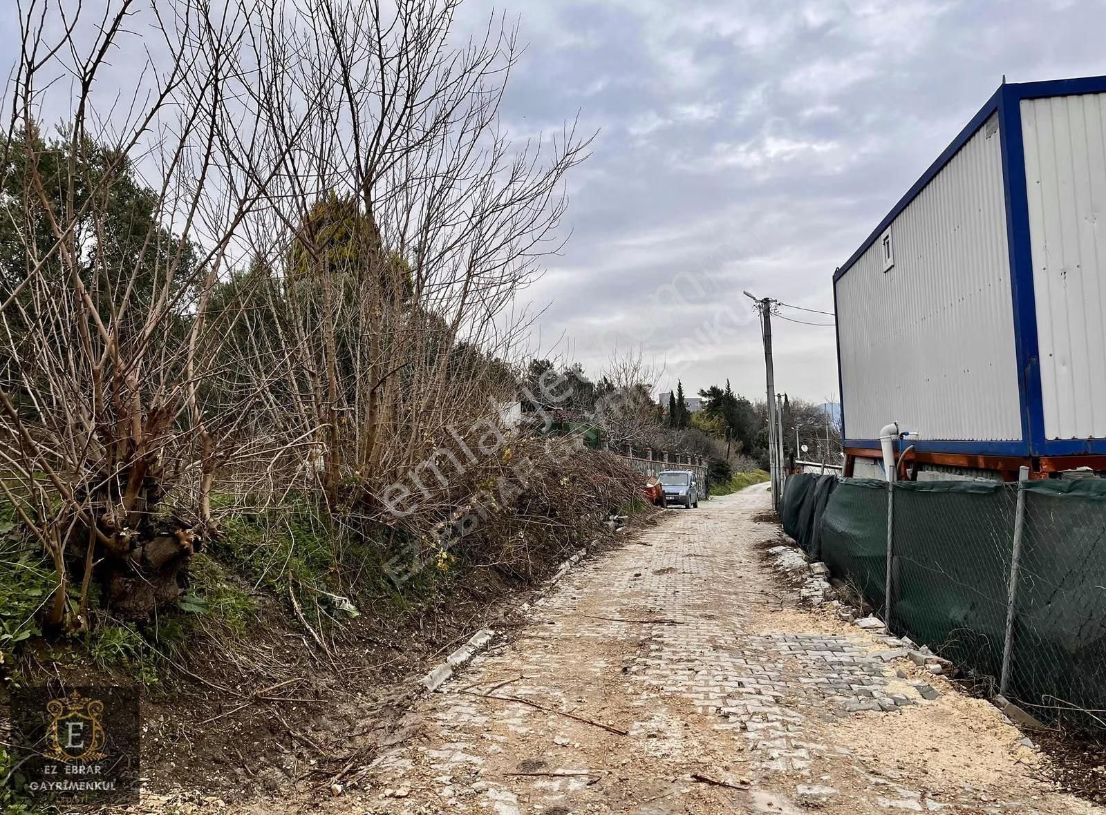 Mudanya Yörükalide Deniz Manzaralı Satılık Zeytinlik