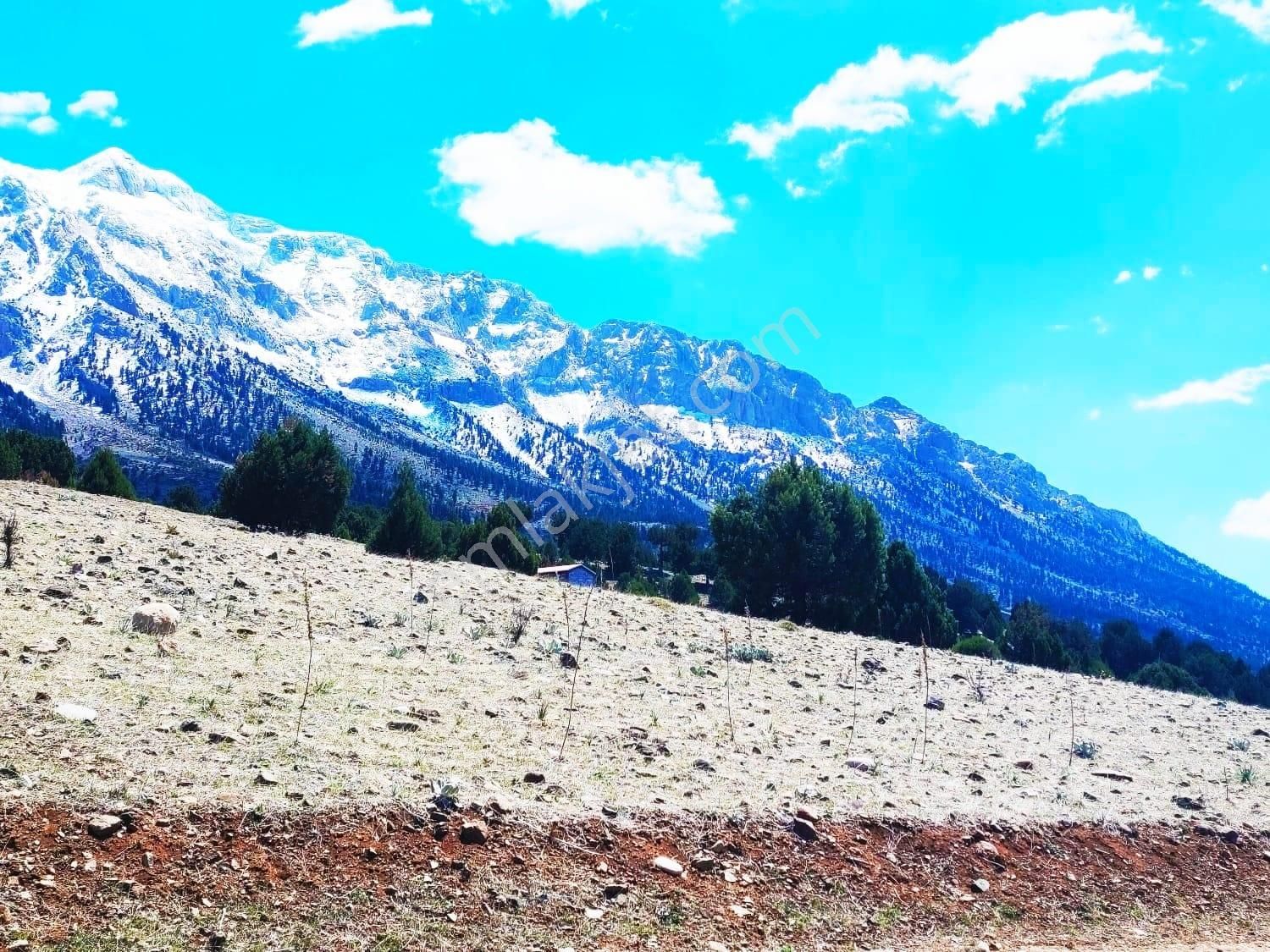 Kar Emlaktan Aşçıbekirli Fenese Mevkiinde 400 M2 Satılık Arsa - Görsel 11