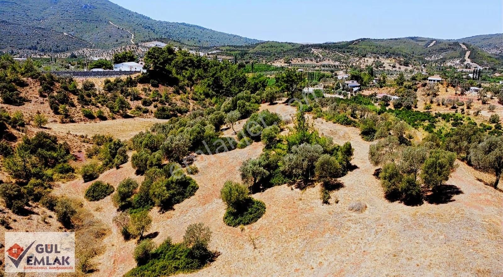 Seferihisar Orhanlı'da Resmi Yol Cepheli Köy İçi Satılık Tarla - Görsel 2