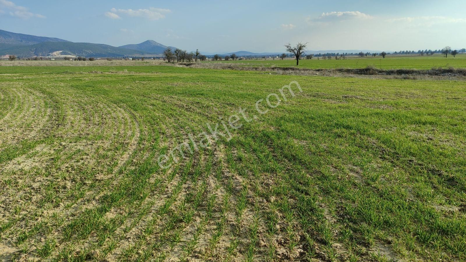 Korkuteli Çomaklı Da Satılık 2.022m2 Tarla Yol Var - Görsel 17