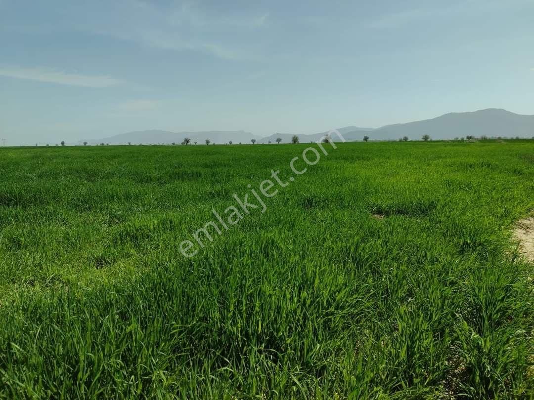 Korkuteli Çomaklı Da Satılık 2.022m2 Tarla Yol Var - Görsel 7