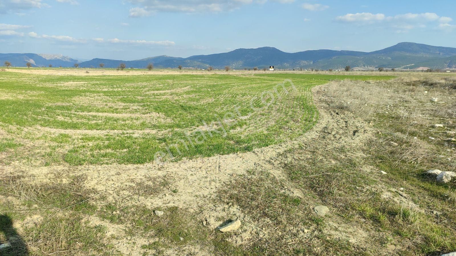 Korkuteli Çomaklı Da Satılık 2.022m2 Tarla Yol Var - Görsel 13