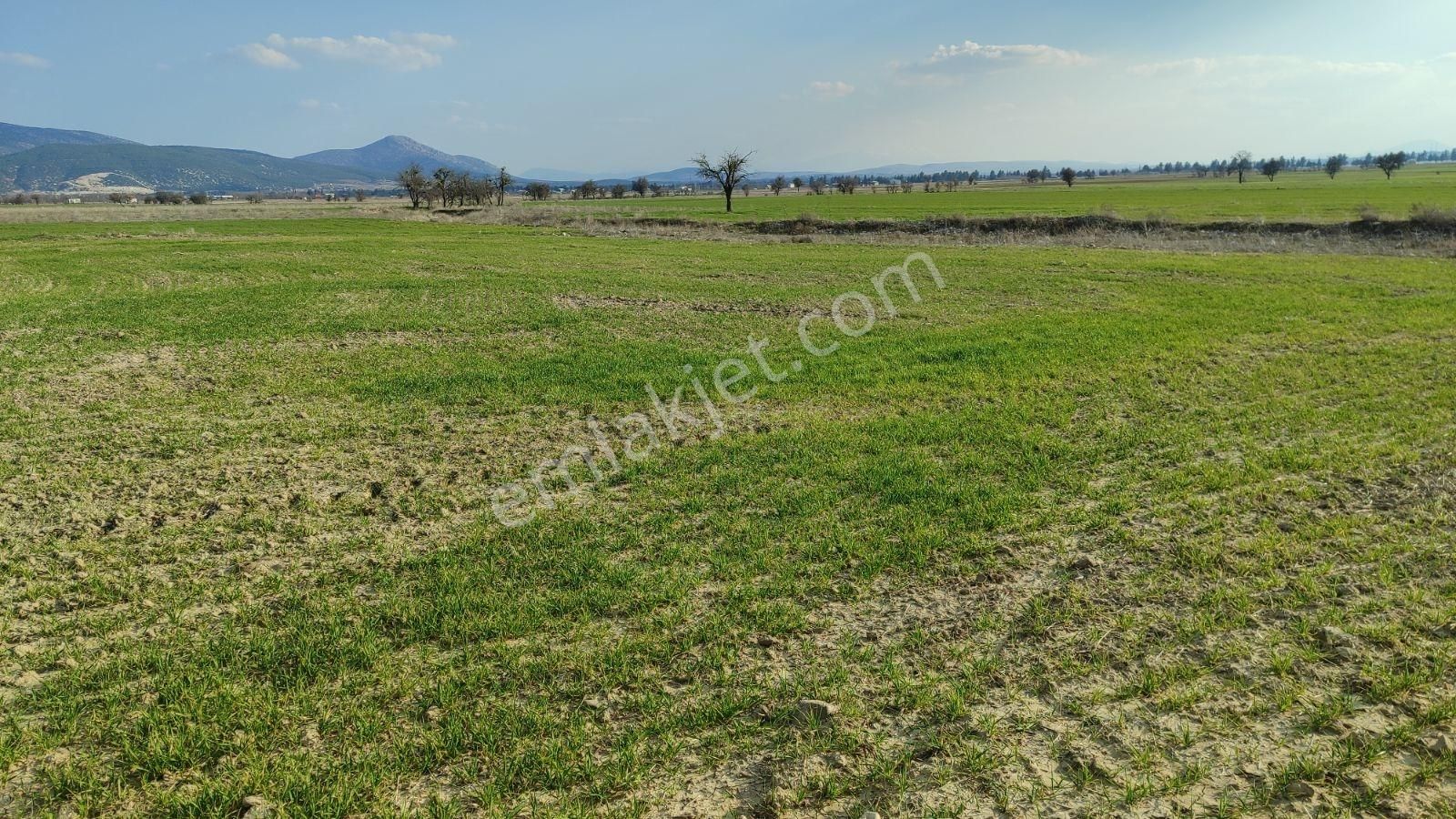 Korkuteli Çomaklı Da Satılık 2.022m2 Tarla Yol Var - Görsel 15