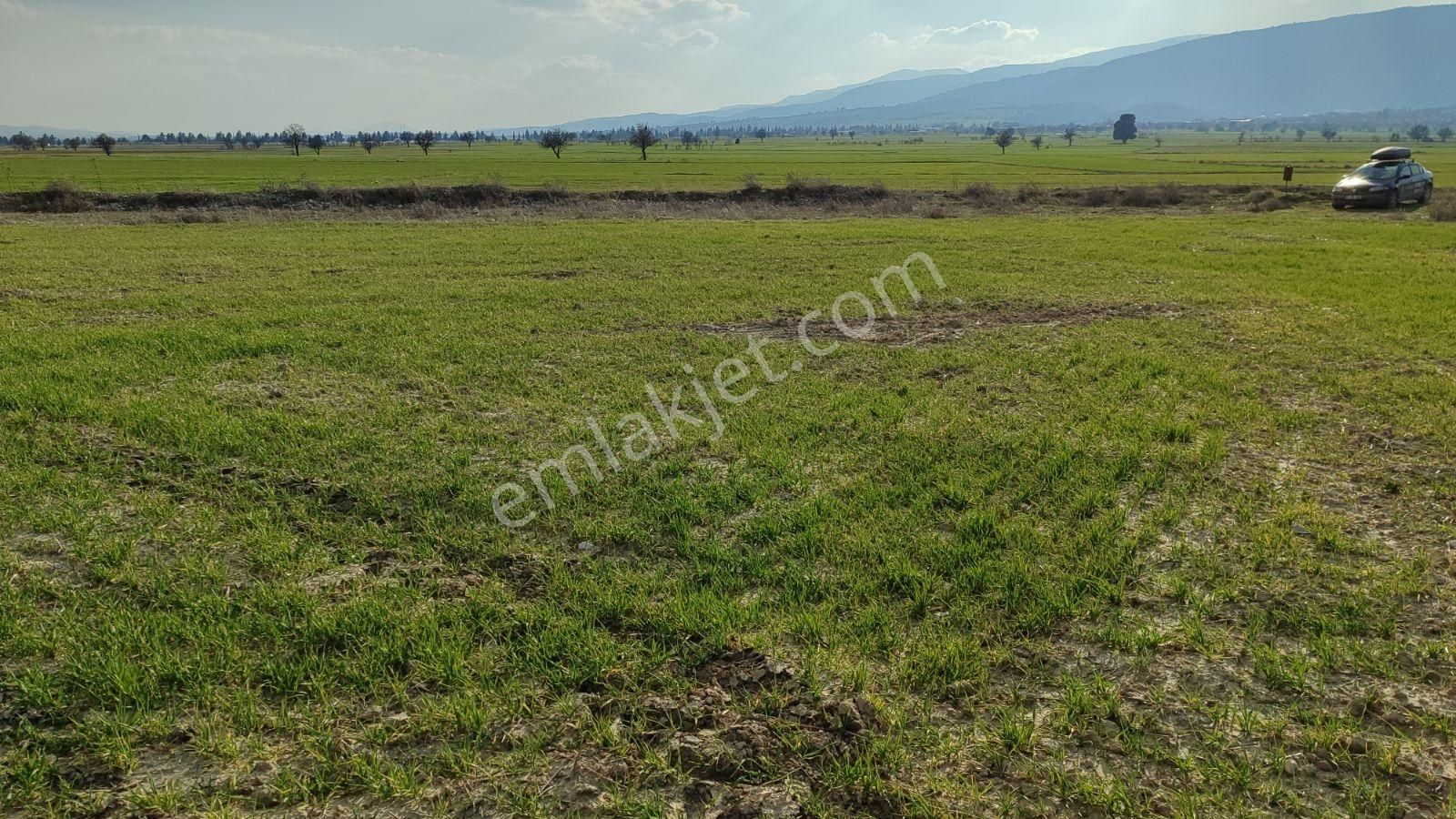 Korkuteli Çomaklı Da Satılık 2.022m2 Tarla Yol Var - Görsel 16