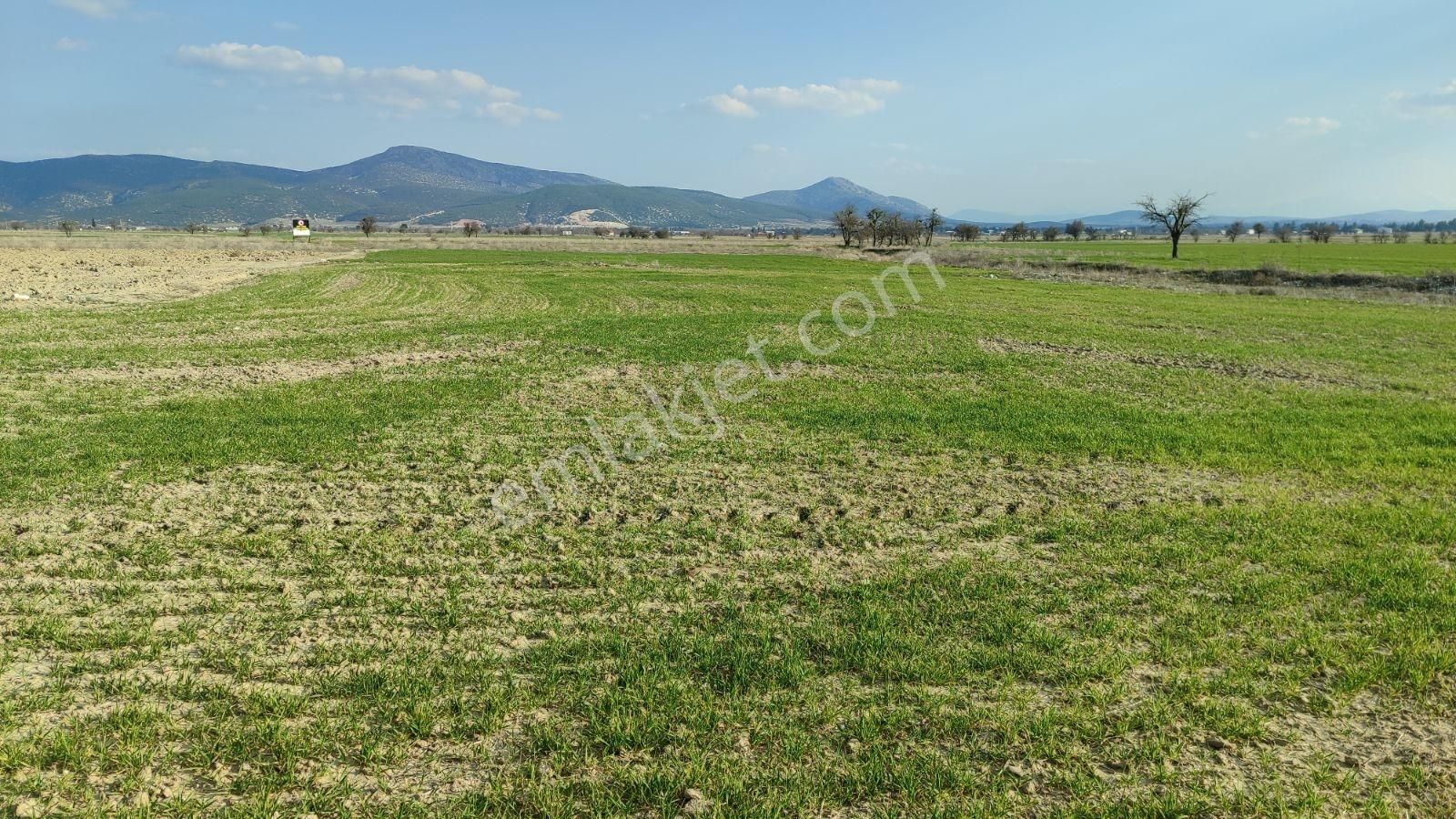 Korkuteli Çomaklı Da Satılık 2.022m2 Tarla Yol Var - Görsel 14